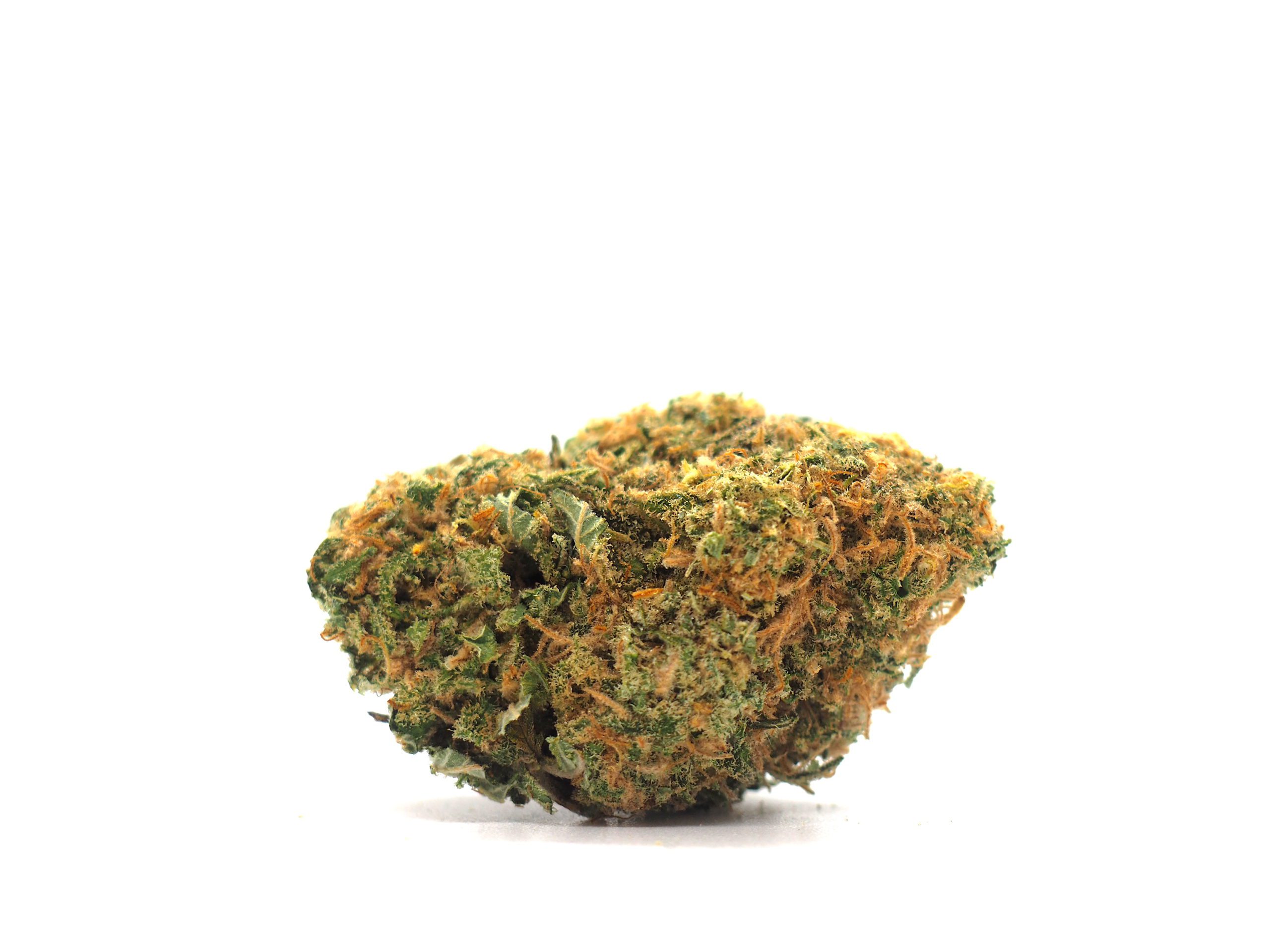 Blue Dream Marijuana Strain