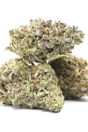 Trophy Wife Cannabis Strain