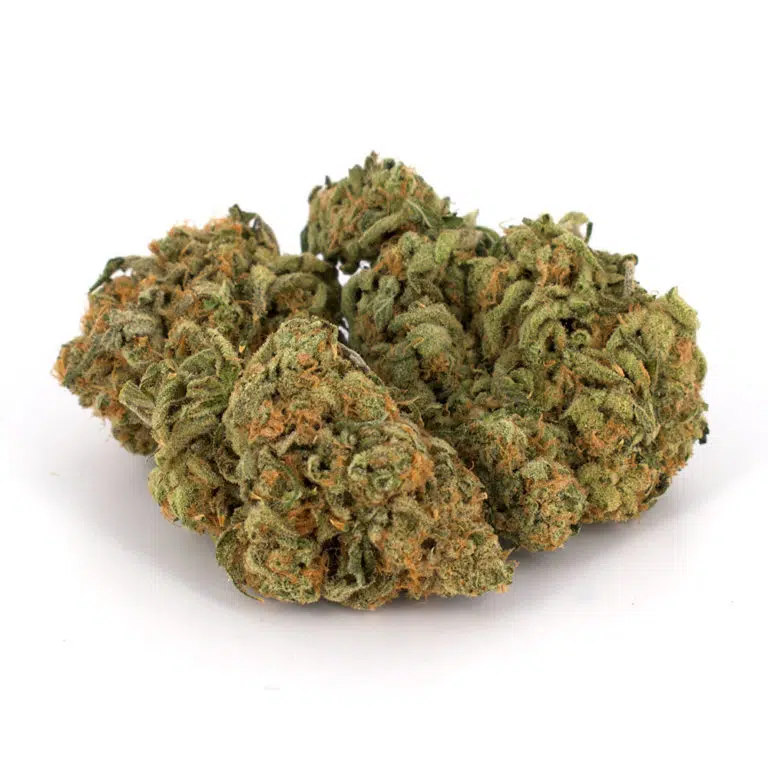 Zombie OG Cannabis Strain