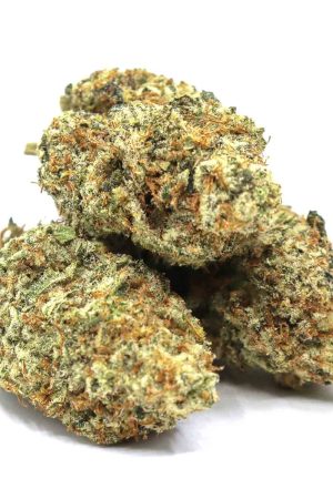 Hawaiian Snow Weed Strain