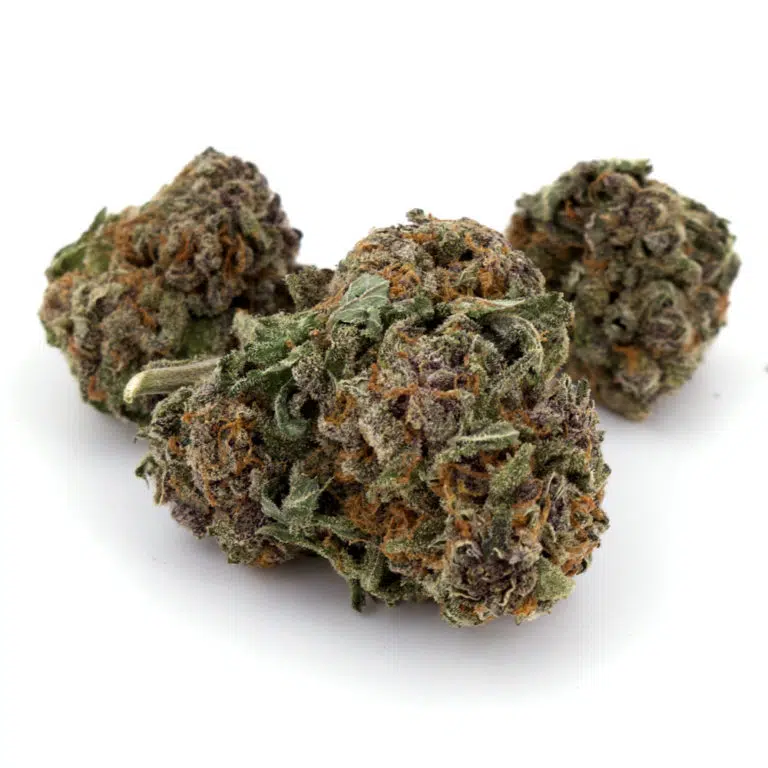 Purple Passion Weed Strain