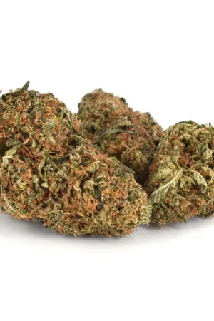 Monster Truck Cannabis Strain