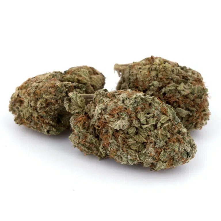God’s Green Crack Marijuana