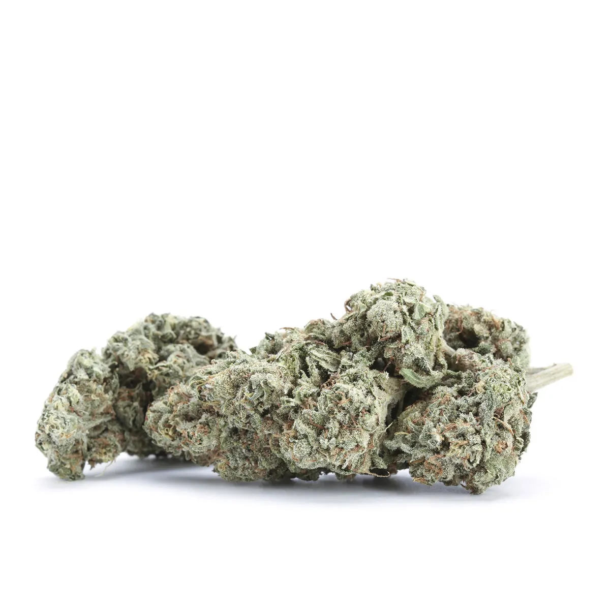 Goji DC Cannabis Strain