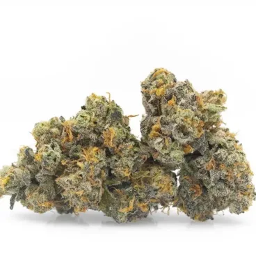 Hindu Kush Weed Strain