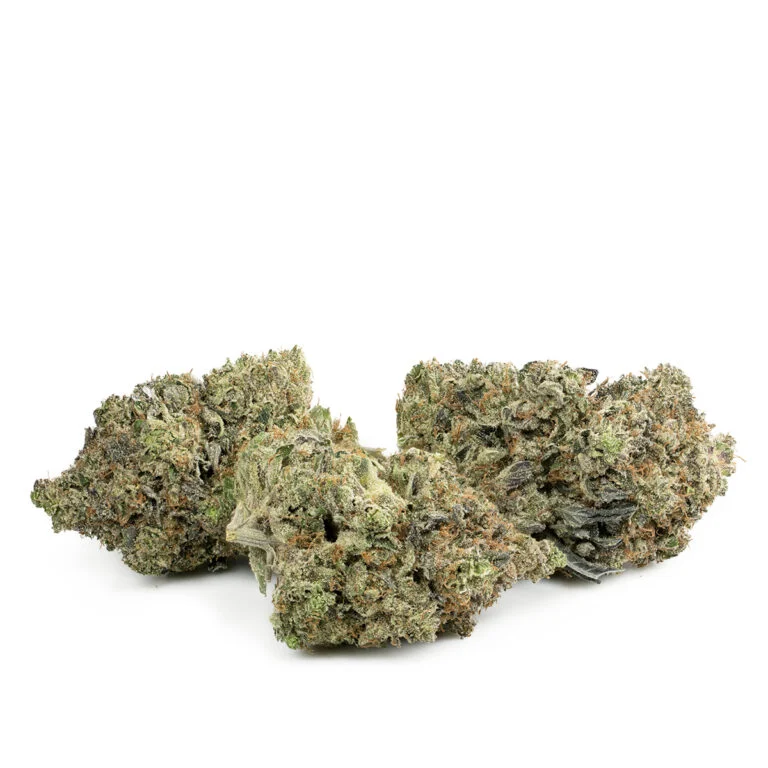 Gator Breath Weed Strain