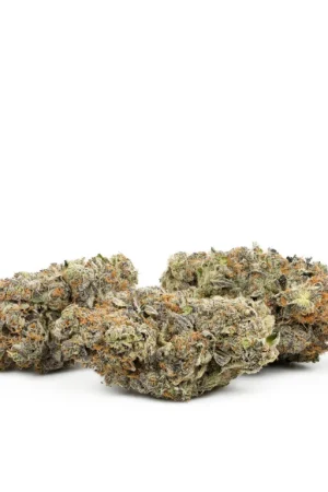 The Vision Marijuana Strain