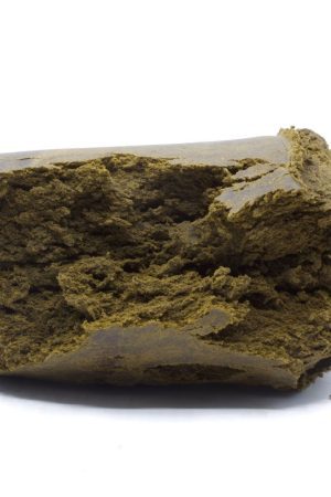 Camel Stamp Hash