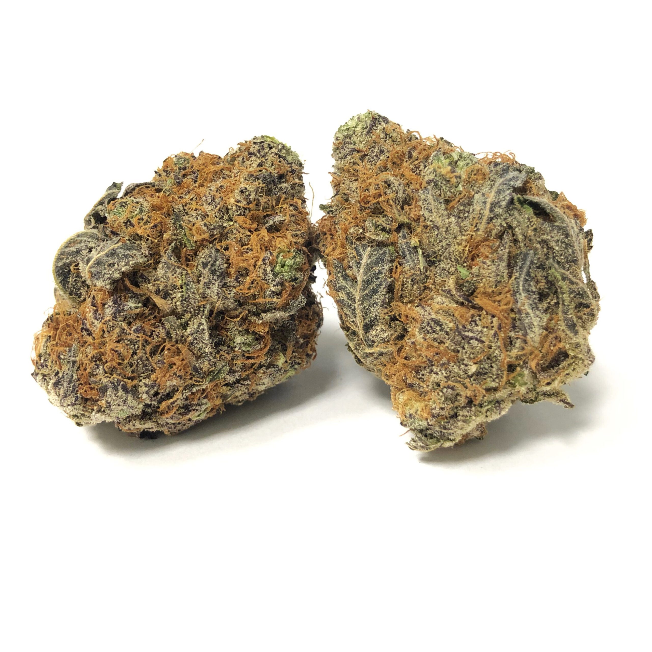 Emperor Cookies Marijuana Strain