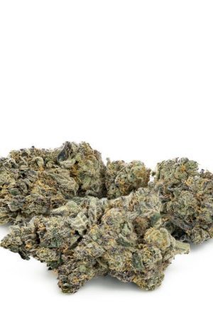 Chernobyl Cannabis Strain