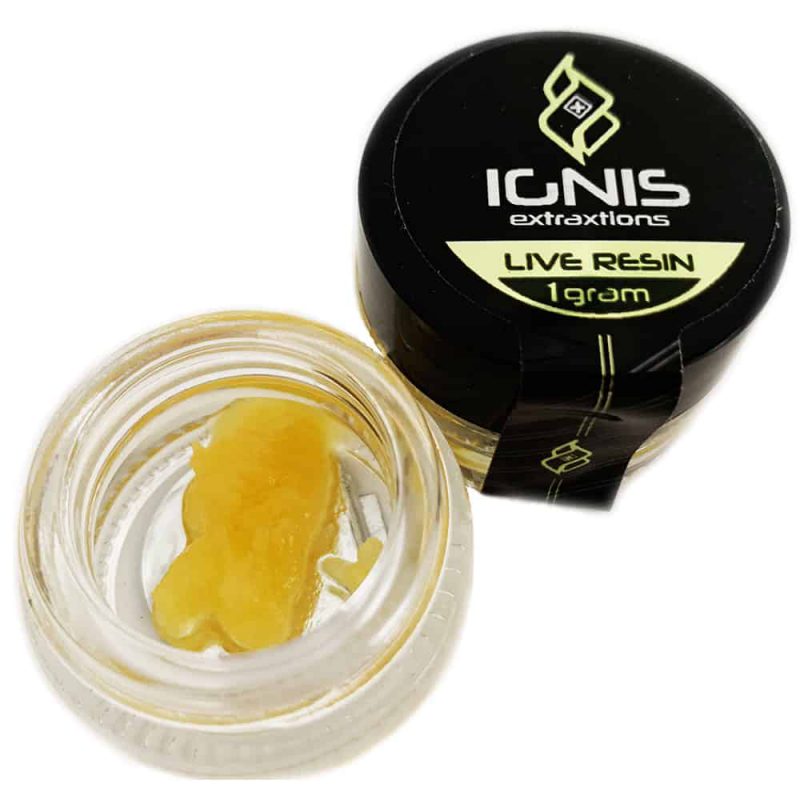 Blueberry Haze – Live Resin