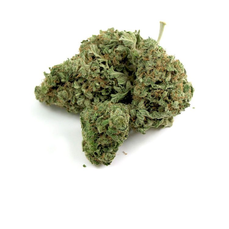 Love Potion #1 Marijuana Strain